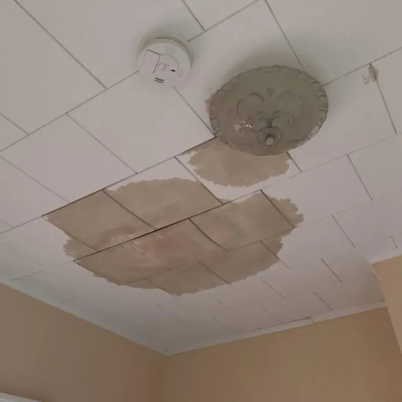 Ceiling Water Damage Repair in Livingston Parish, LA